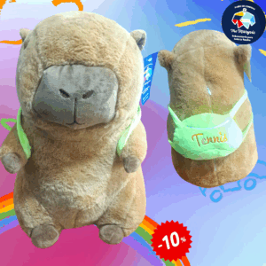 Peluche grande 2 en 1 c/ manta varios disenos de capibara